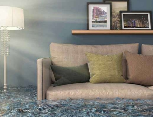 What are the Dangers of Water Damage?